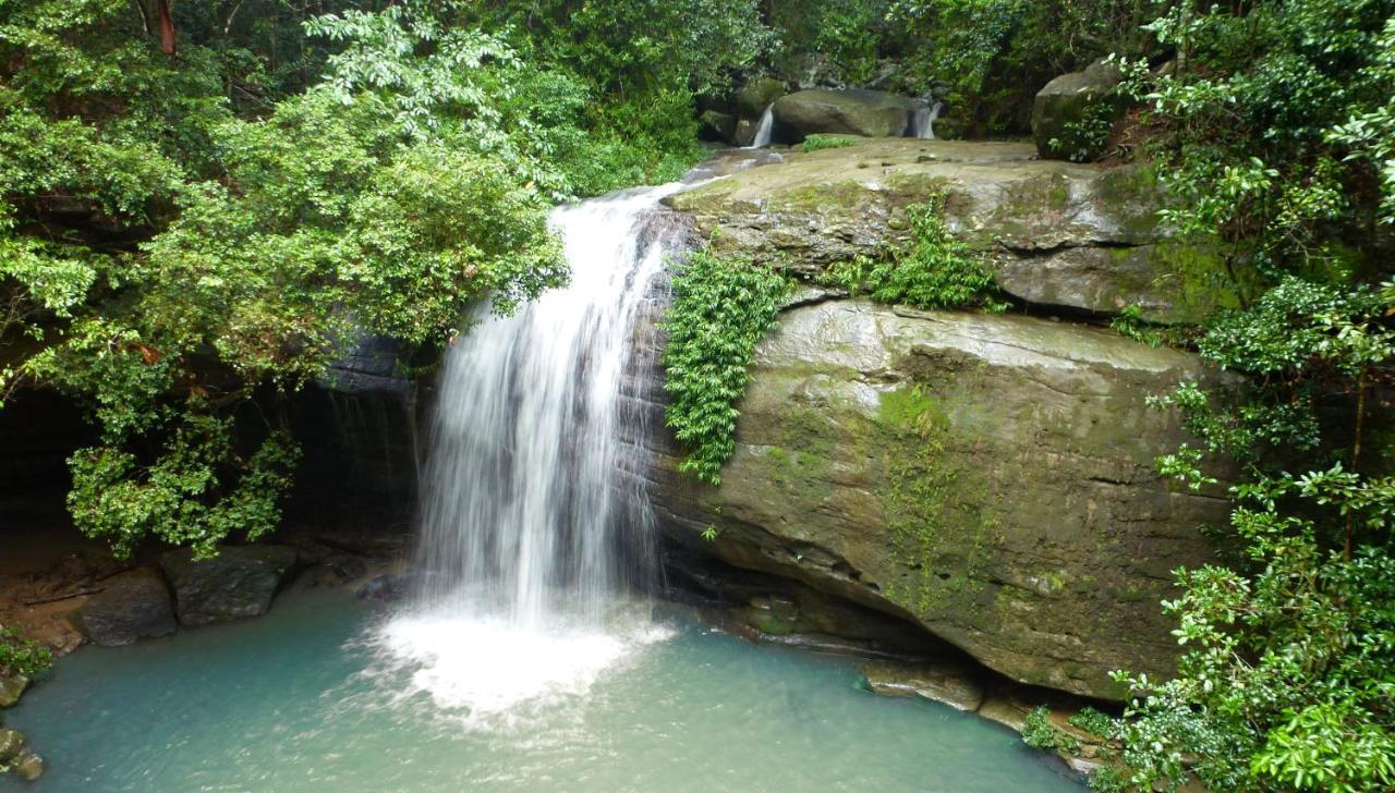 Buderim Forest Hideaway Экстерьер фото