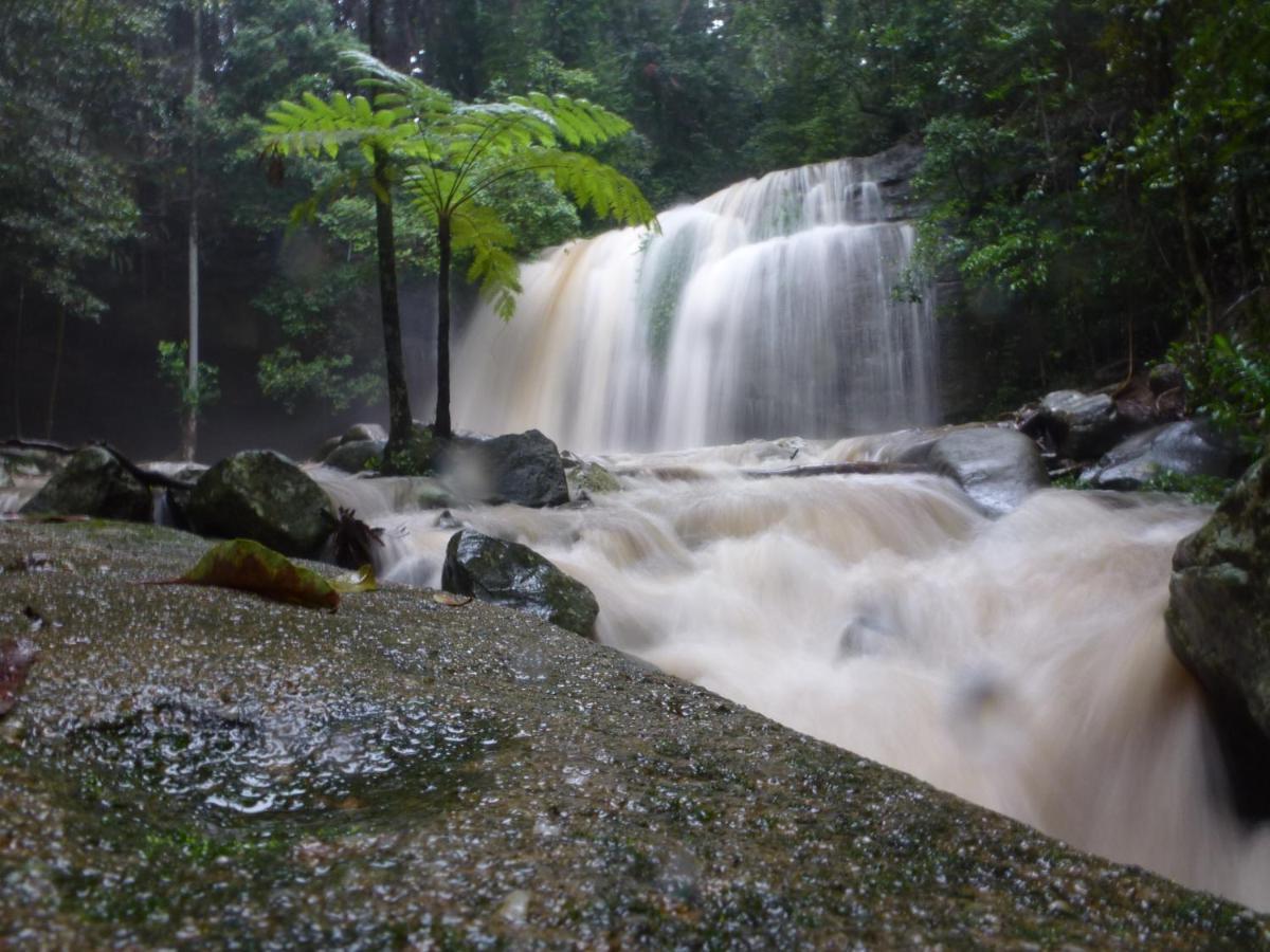 Buderim Forest Hideaway Экстерьер фото