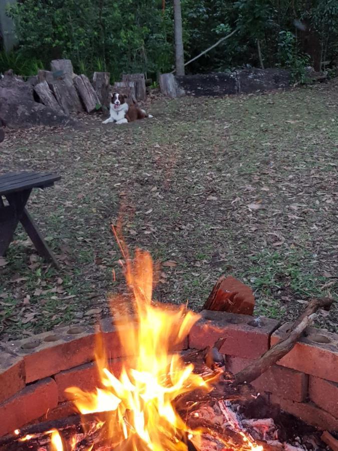 Buderim Forest Hideaway Экстерьер фото